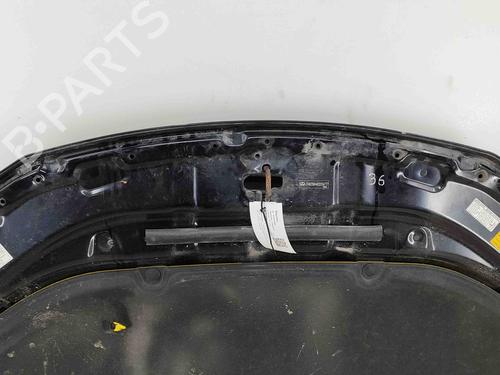Hood LEXUS CT (ZWA10_) 200h (ZWA10_) | BP29593482C1 