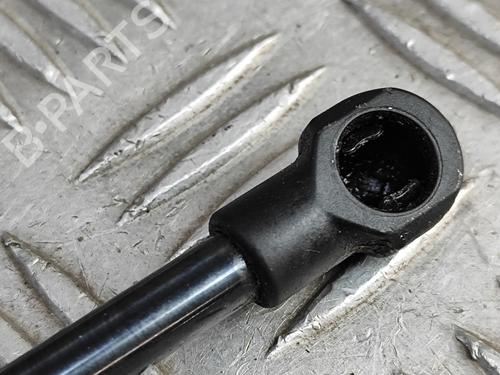 Hood lift support AUDI A5 Sportback (F5A, F5F) 40 TFSI Mild Hybrid | BP28446738C139