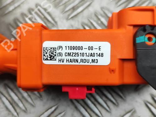 Wiring harness TESLA MODEL 3 (5YJ3) EV | BP32269371E16