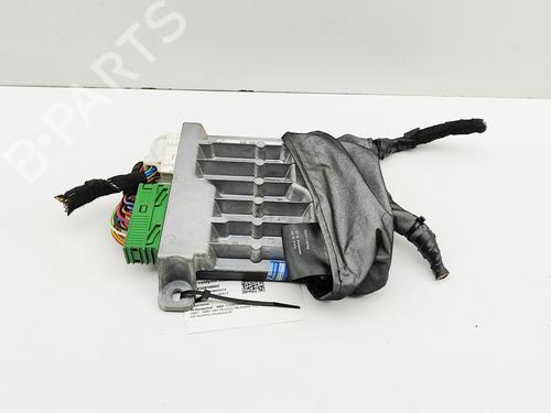 Elektronisk modul MINI MINI (R50, R53) Cooper | BP29920362M83 