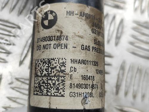Left rear shock absorber BMW 5 Touring (G31) 530 d xDrive | BP16481969M18 