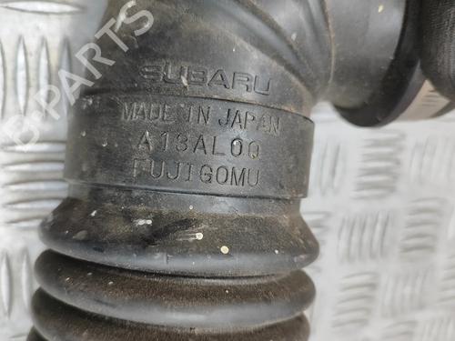 Pipe SUBARU OUTBACK (BS) 2.0 D AWD (BSD) | BP24141069M125  - Image 6