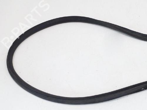 Rubber door seal TESLA MODEL S (5YJS) 75D AWD | BP20232936C142 