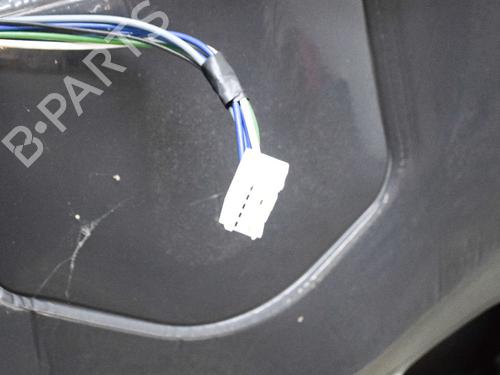 Left front door NISSAN PATHFINDER III (R51) 2.5 dCi 4WD | BP9227391C2