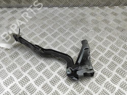 Hinge/Door check strap RENAULT AUSTRAL E-TECH 200 Hybrid (HGM2) | BP33962156C146  - Image 5