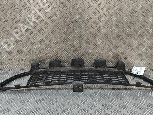 Grille BMW 3 Touring (F31) 318 d xDrive | BP29076211C40 