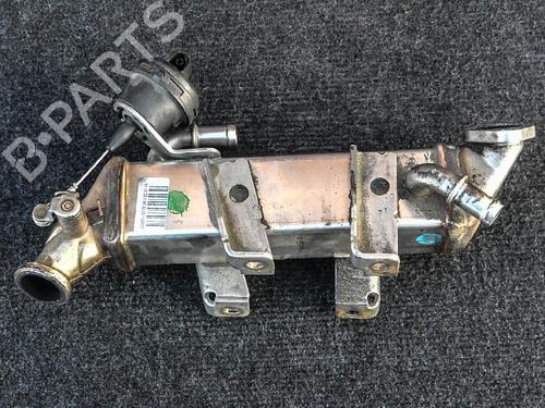 Egr RENAULT LAGUNA III Grandtour (KT0/1) 2.0 dCi GT (KT11, KT1E, KT1N) n/a