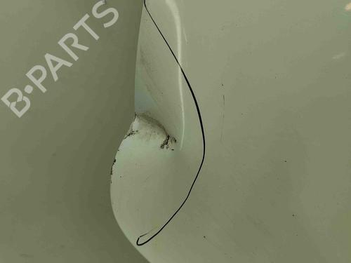 Left front door OPEL MOVANO B Van (X62) 2.3 CDTI FWD (FV) | BP29920141C2