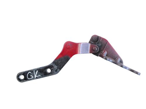 Hinge/Door check strap TESLA MODEL X (5YJX) P100D AWD | BP30251872C146