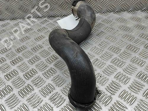 Pipe PORSCHE PANAMERA (970) 3.0 D | BP29495053M125 