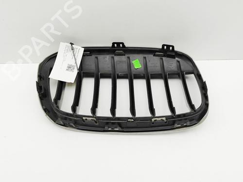 Grille BMW X1 (F48) sDrive 18 d | BP29730920C40 