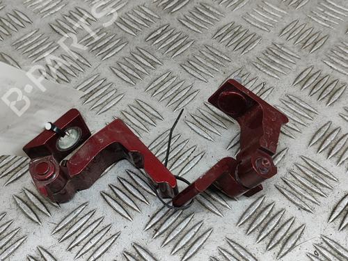 Hinge/Door check strap AUDI A5 Sportback (F5A, F5F) 2.0 TFSI quattro | BP23247985C146 
