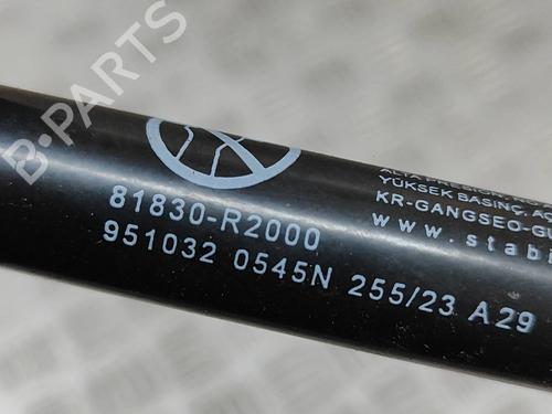 Tailgate lift support KIA SPORTAGE V (NQ5) 1.6 T-GDI | BP28562366C138