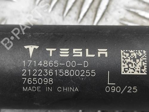 Tailgate lift support TESLA MODEL 3 (5YJ3) EV | BP34190591C138  - Image 6