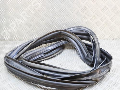 Rubber door seal TESLA MODEL X (5YJX) P100D AWD | BP15376431C142