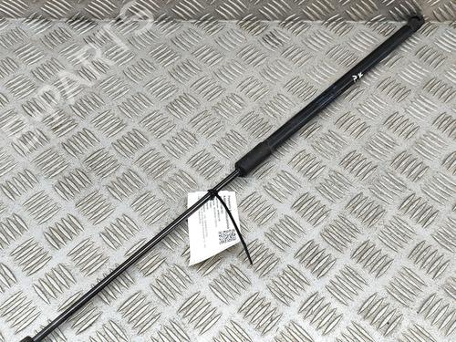 Hood lift support VW TOUAREG (7P5, 7P6) 3.0 V6 TDI | BP21486773C139 