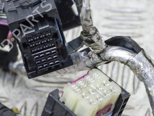 Wiring harness LAND ROVER DISCOVERY V (L462) D300 MHEV 4x4 | BP28430438E16