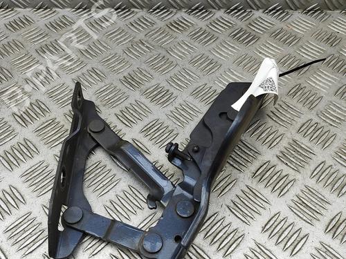 Hinge/Door check strap TESLA MODEL S (5YJS) P100D AWD | BP30394313C146