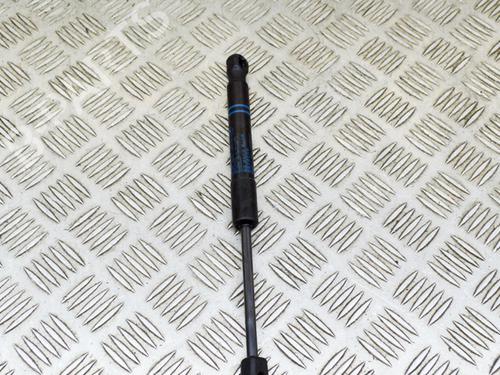 Hood lift support BMW 3 (F30, F80) 330 e | BP14626847C139 