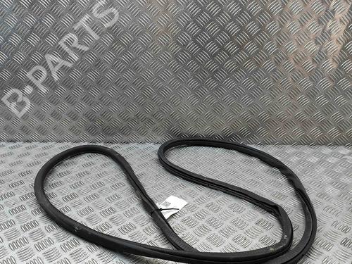 Rubber door seal PORSCHE PANAMERA (970) 3.0 D | BP29487130C142 