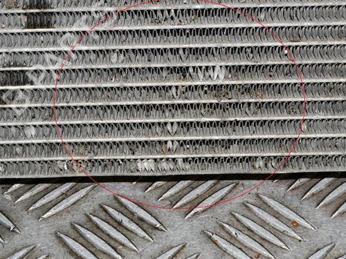 Water radiator RENAULT MASTER III Van (FV) 2.3 dCi 180 FWD (FV04, FV07) | BP29128314M31