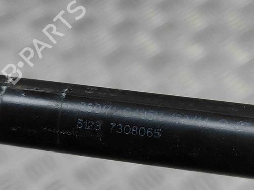 Hood lift support BMW X5 (F15, F85) xDrive 30 d | BP27799831C139