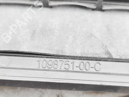 Grille TESLA MODEL 3 (5YJ3) EV | BP37445331C40 - Image 6