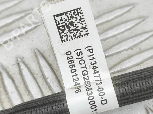 Wiring harness TESLA MODEL 3 (5YJ3) EV Performance AWD | BP33697786E16 - Image 5