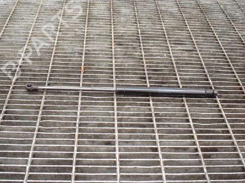 Hood lift support LAND ROVER DISCOVERY IV (L319) 3.0 TD 4x4 8H2216E610AA