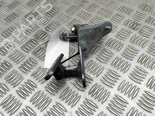 Hinge/Door check strap MERCEDES-BENZ S-CLASS (W221, V221) S 350 BlueTec (221.026, 221.126) | BP29404769C146 