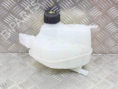 Expansion tank NISSAN QASHQAI II (J11, J11_) 1.3 DIG-T | BP27749630C120 