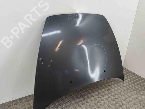 Hood VOLVO S40 II (544) T5 | BP29637516C1 