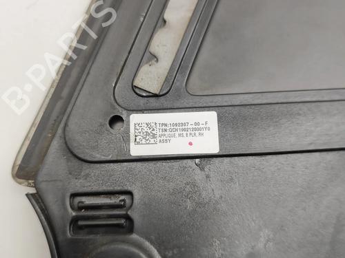 Dørliste TESLA MODEL S (5YJS) P100D AWD | BP30529840C150  - Image 10