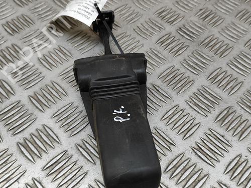 Hinge/Door check strap AUDI A5 Sportback (F5A, F5F) 2.0 TFSI quattro | BP23247978C146 
