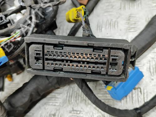 Wiring harness FERRARI CALIFORNIA 4.3 | BP32119087E16 