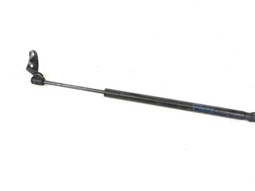 Used Hood lift support Hood lift support TESLA MODEL S (5YJS) 75D AWD (525 hp) 33339609 33339609