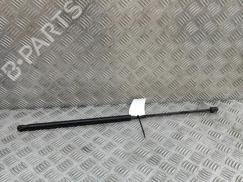 hood-lift-support-mercedes-benz-slk-r171-2004-2005-2006-2007-2008-2009-2010-2011-27521352 main image