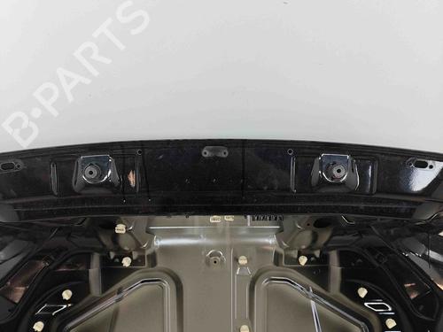 Tailgate RENAULT MEGANE CC (EZ0/1_) 1.6 dCi (EZ00) | BP29336824C6 