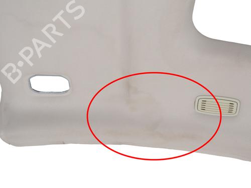 Techo interior JAGUAR XJ (X351) 3.0 SDV6 | BP30254571I12 