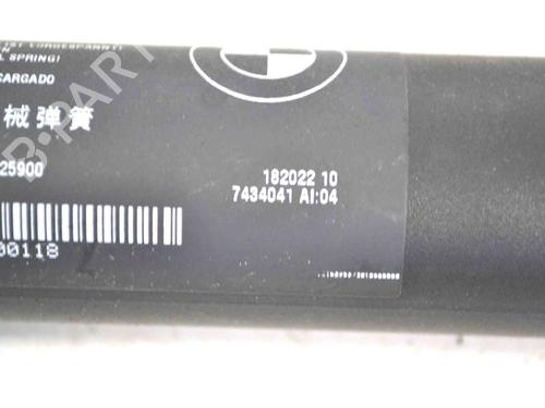 Tailgate lift support BMW X5 (F15, F85) xDrive 40 d | BP30258315C138 