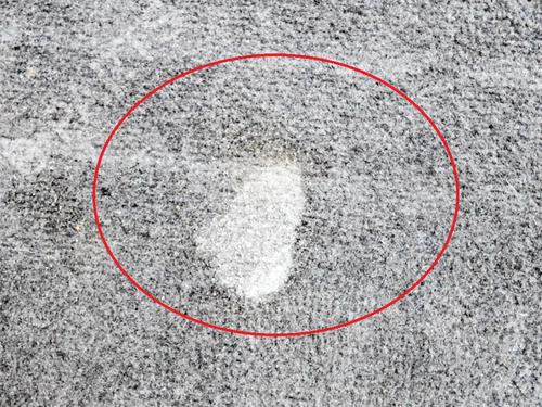  - Image 3