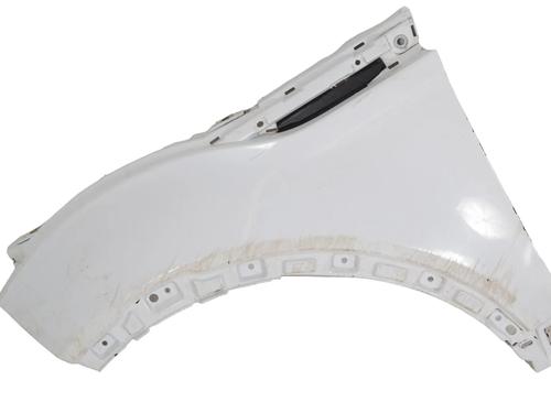 Used Left front fenders LAND ROVER RANGE ROVER EVOQUE (L538) 2.0 D 4x4 (150 hp) 30252835