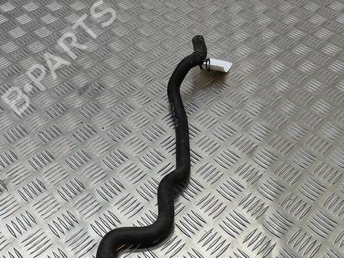Pipe BMW 7 (G11, G12) 730 d | BP19501325M125 