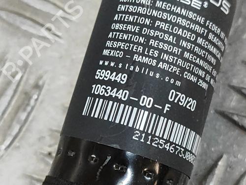 Electronic module TESLA MODEL X (5YJX) P100D AWD | BP25217882M83 