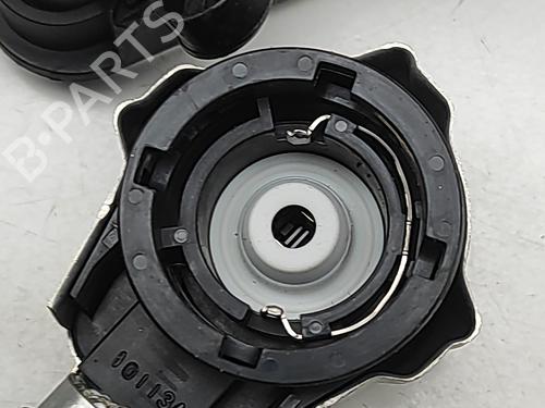 Module électronique PORSCHE CAYMAN (987) S 3.4 | BP29753136M83 