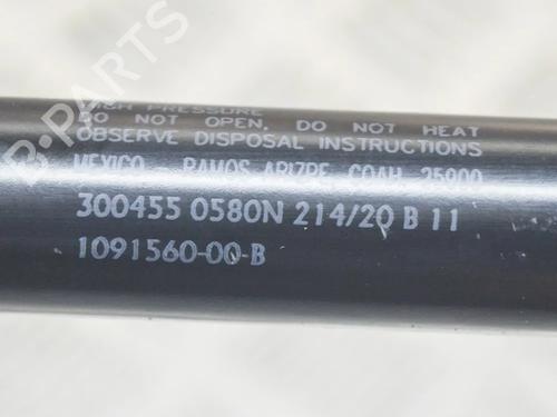 Tailgate lift support TESLA MODEL 3 (5YJ3) EV AWD | BP27751434C138  - Image 5