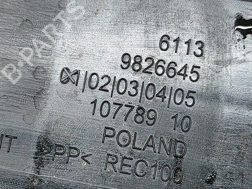 Pipe BMW iX (I20) xDrive 50 | BP28552758M125 