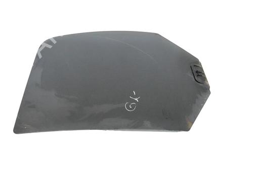 Dør rude ventre bagtil DODGE RAM 1500 Pickup (DJ, DS) 5.7 4x4 (350 hp) 30249389