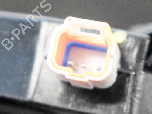 Other TESLA MODEL S (5YJS) 75 | BP20231303O1