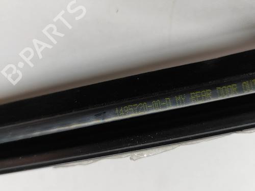 Dørliste TESLA MODEL Y (5YJY) EV Performance All-wheel Drive | BP33362938C150  - Image 5